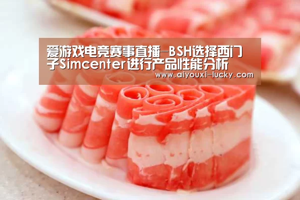 爱游戏电竞赛事直播-BSH选择西门子Simcenter进行产品性能分析(图1) 爱游戏电竞娱乐平台
