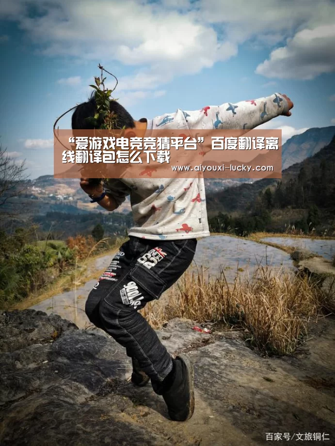 “爱游戏电竞竞猜平台”百度翻译离线翻译包怎么下载(图2) 爱游戏电竞竞猜平台