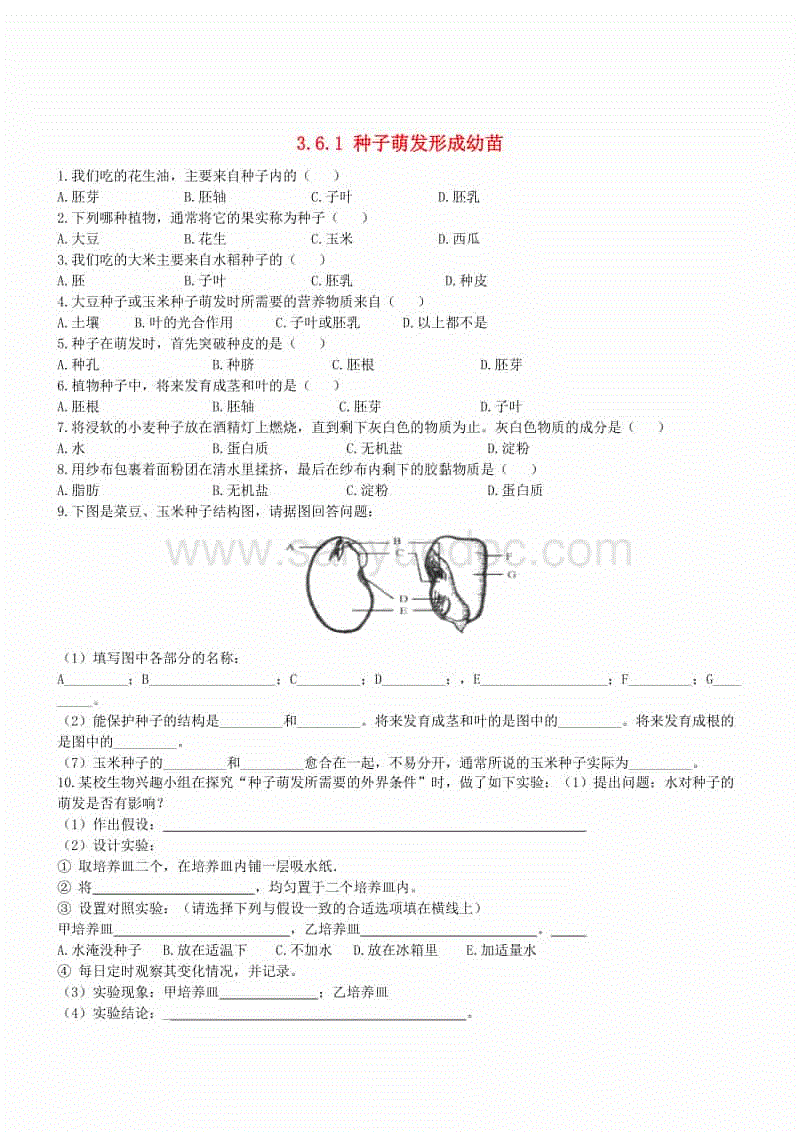 联合国教科文组织总干事博科娃对菲律宾华裔记者遭枪杀事件予以谴责-爱游戏电竞竞猜平台(图2) 爱游戏电竞赛事直播