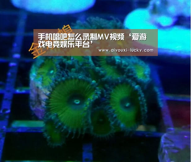 爱游戏电竞官网