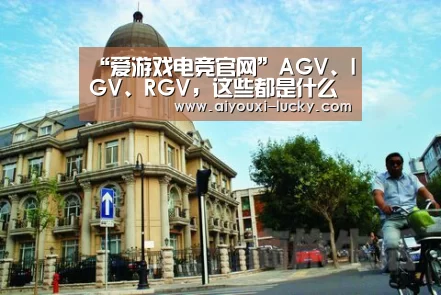 “爱游戏电竞官网”AGV、IGV、RGV,这些都是什么神操作?(图1) 爱游戏电竞官网