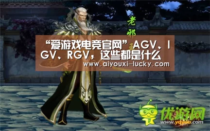“爱游戏电竞官网”AGV、IGV、RGV,这些都是什么神操作?(图3) 爱游戏电竞娱乐平台